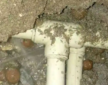 余杭测漏水多少钱