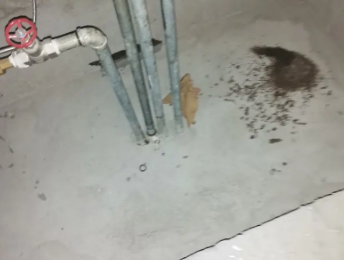 余杭卫生间测漏水价格明细