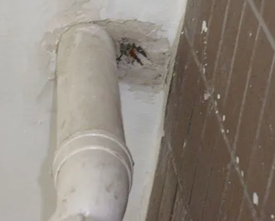 余杭漏水检测哪家好